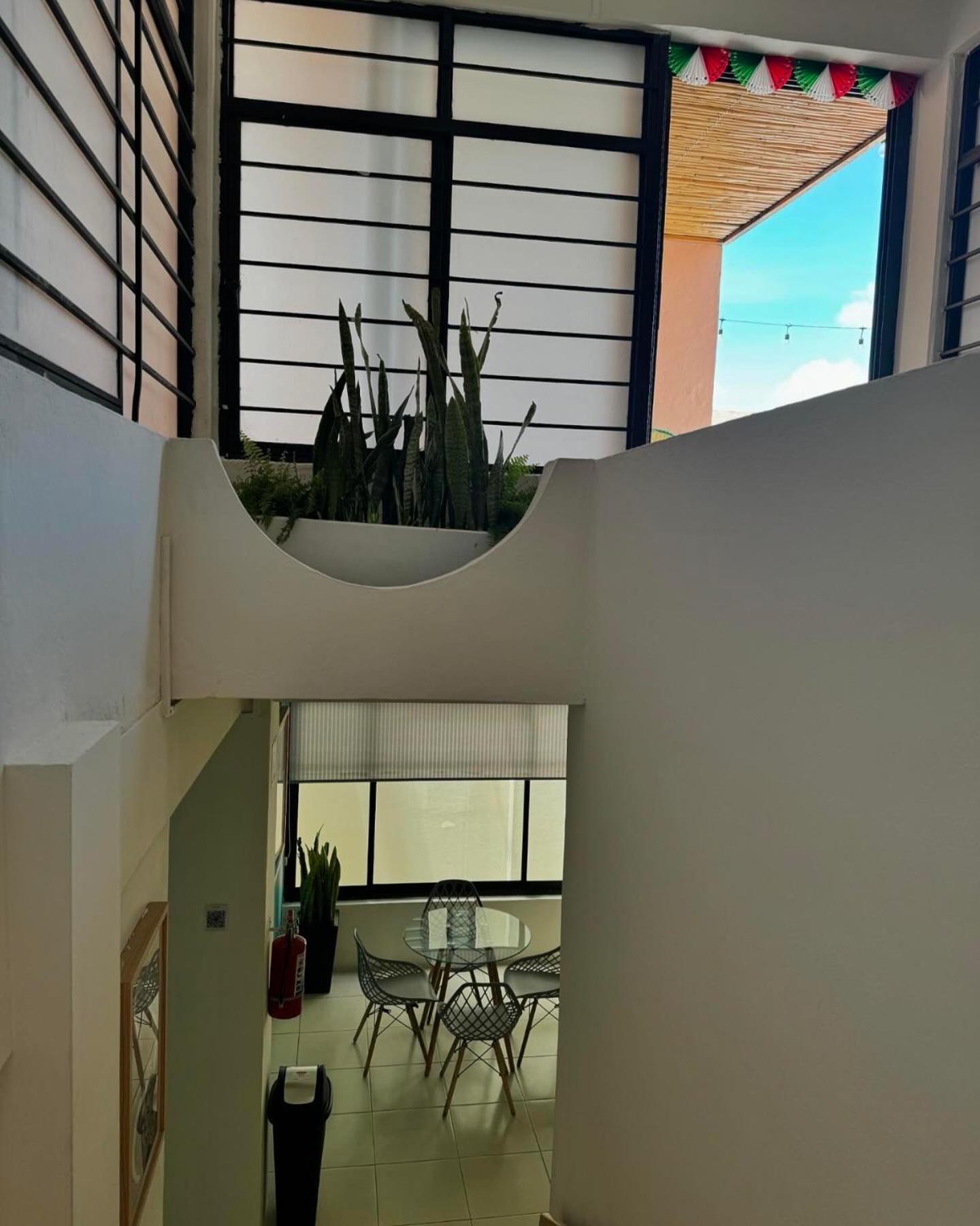 Oaxaca Hostal Xao מראה חיצוני תמונה